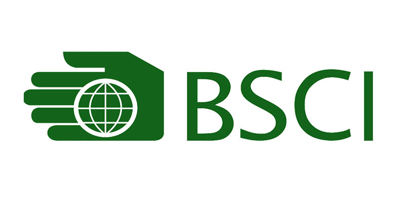 BSCI-1 Bsci 1